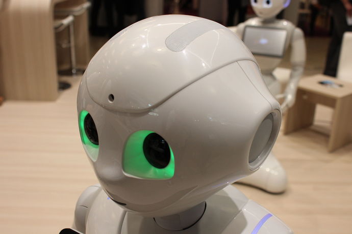 Sind Haushaltsroboter die Zukunft?